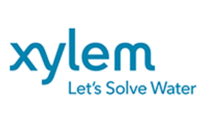 xylem